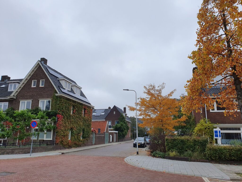 Plus makelaardij 44 Plus makelaardij 44