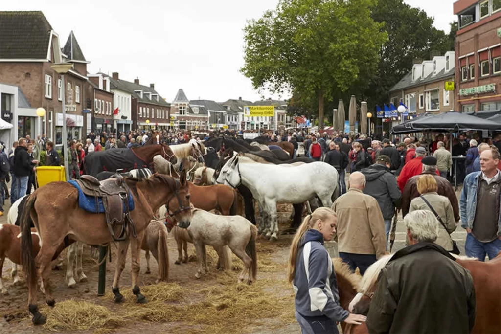 huis te koop elst