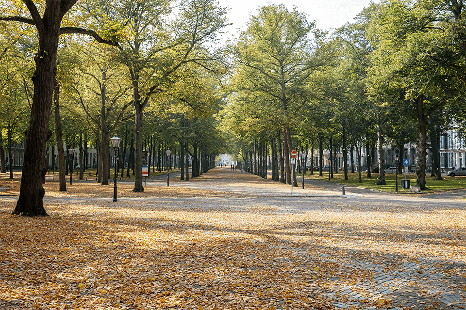 Huis te koop Voorburg